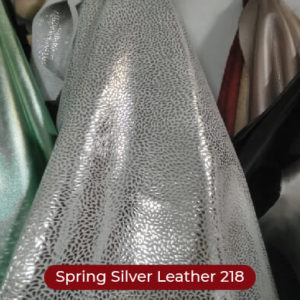 Spring Silver Leather